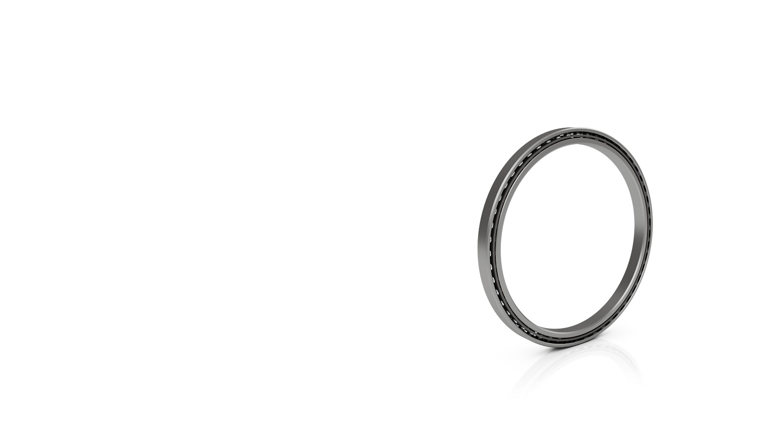 Endurakote Corrosion-Resistant Bearings